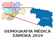 Demografía Médica de Zamora 2019
